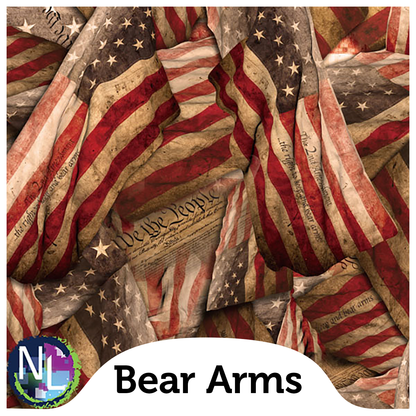 Bear Arms - 2nd Amendment
